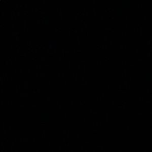 Meet your Posher, Justina